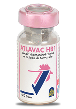 ATLAVAC HB1